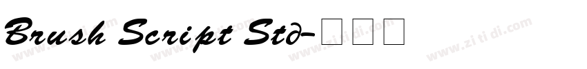 Brush Script Std字体转换